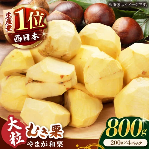 先行予約】やまが和栗 大粒むき栗 800g（200g×4pc）小分け【古川農園】[ZES001]