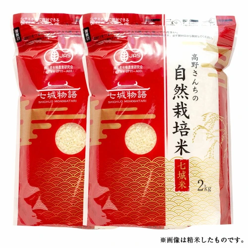 熊本県菊池産 ヒノヒカリ 玄米 合計4kg 2kg×2パック 令和5年産 七城