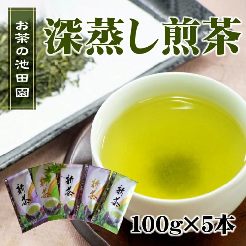 ふるさと納税｜ お茶の池田園 深蒸し煎茶100g×5本【熊本県宇土市】