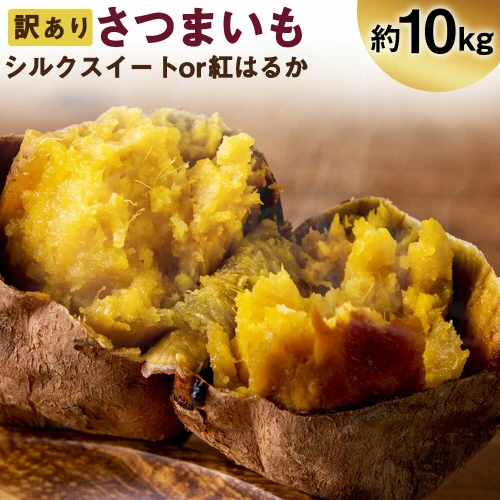 訳あり 不揃い さつまいも 紅はるか シルクスイート 約10kg (S～2L