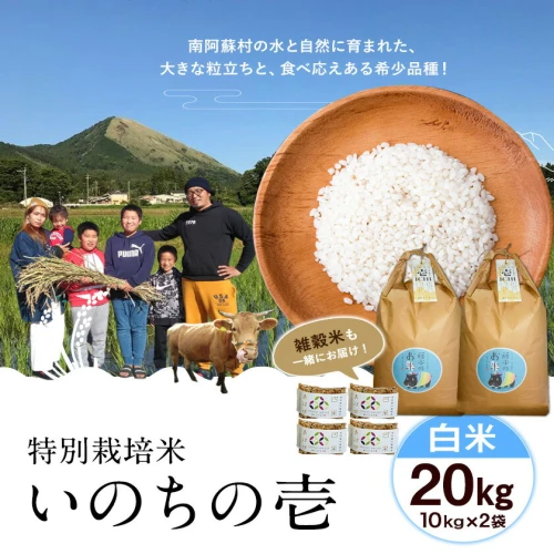 令和5年産 特別栽培米 いのちの壱(白米) 20kg(10kg×2袋) 雑穀米付き