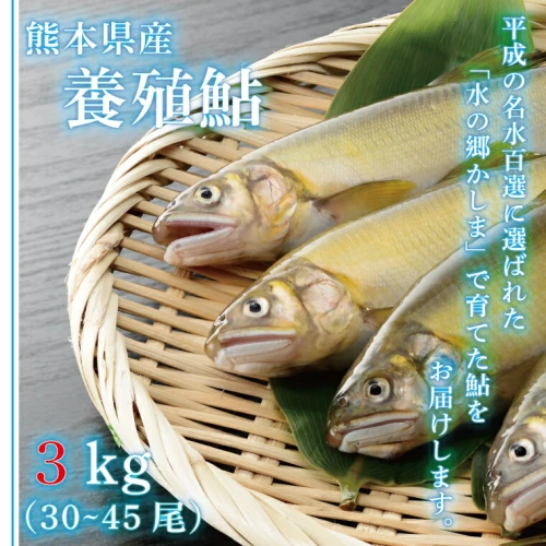 ふるさと納税】【熊本県産】養殖冷凍鮎3kg 鮎 訳あり コロナ支援