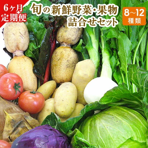 6ヶ月定期便 旬の新鮮野菜・果物詰合せセット(計6回お届け) たっぷり8 ...
