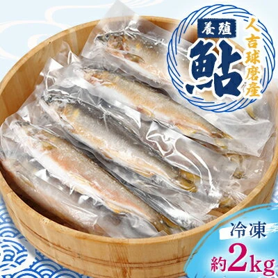 ふるさと納税｜ 人吉球磨産養殖鮎(冷凍) 約2kg 【鮎 アユ】