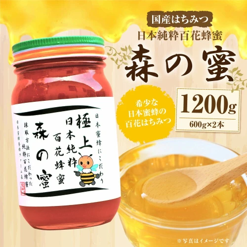 国産はちみつ】日本純粋百花蜂蜜「森の蜜」 600g×2本 計1200g 化粧