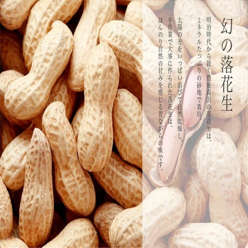 ぶんごたかだ特製 素煎り落花生 詰合せ 100g×5袋 豆 らっかせい