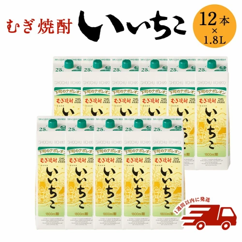 ふるさと納税｜ いいちこパック25度 1800ml 12本 焼酎 麦焼酎 紙パック