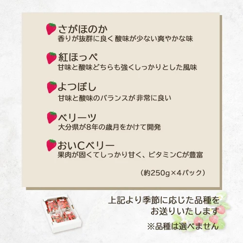 2024年発送/先行予約】湯布院の温泉で育てたいちご おまかせ約1kg（約