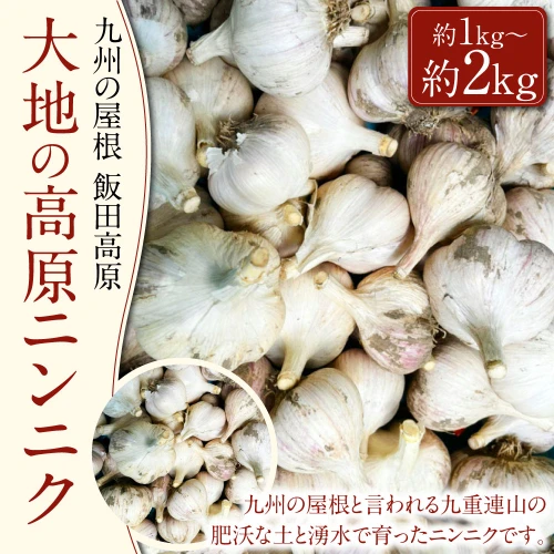 選べる容量】九州の屋根 飯田高原 大地の高原ニンニク 約1kg（10～15玉