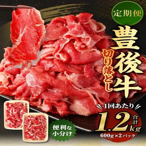 ふるさと納税 【6ヶ月定期便】豊後牛 切り落とし 1.2kg (600g×2) × 6回