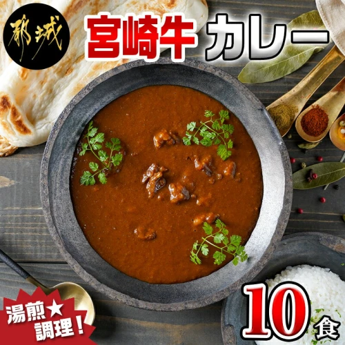 ふるさと納税｜ 宮崎牛カレー10食セット - ご当地カレー レトルト