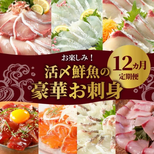 活〆鮮魚 豪華 お刺身 定期便 12ヶ月 柵 国産 お楽しみ 刺身 新鮮 ヒラメ 真鯛 カンパチ シマアジ ブリ 漬け丼 マグロ サーモン メヒカリ  はまち 活〆 湯引き 旬 鮮魚 冷蔵 九州 宮崎県 延岡市 請関水産 日向灘 お