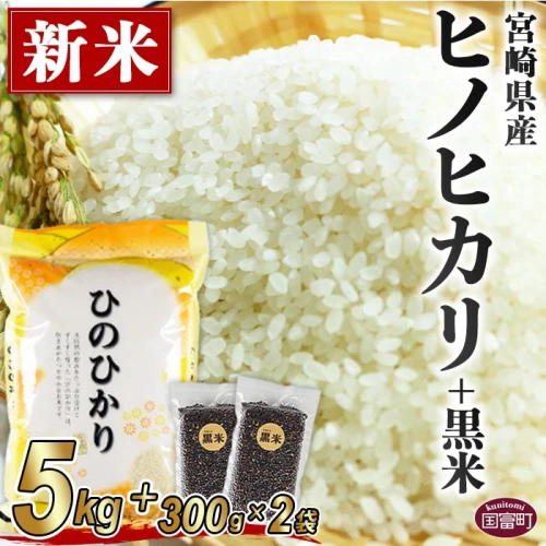 米 白米＜宮崎県産ヒノヒカリ(5kg)+黒米(300g×2袋)＞※入金確認後、翌月