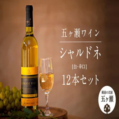 五ヶ瀬ワイン シャルドネ （ 白 ・ 辛口 ） 720ml 12本五ヶ瀬