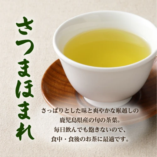 お茶の美老園 煎茶 計500g さつまほまれ お茶 茶 緑茶 茶葉 日本茶