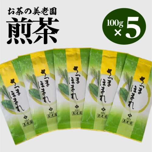 お茶の美老園 煎茶 計500g さつまほまれ お茶 茶 緑茶 茶葉 日本茶