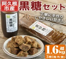 沖縄産原料100％ サトウキビ由来のおいしい粉黒糖 500g×10袋