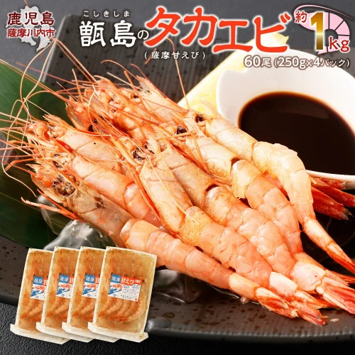 甑島のタカエビ（薩摩甘えび）60尾 約400g～500g 冷凍 えび エビ