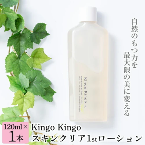 kingokingo スキンクリア1stローション(120ml×1本)化粧水 基礎化粧品