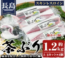 長島海の恵み 鰤セット(6種)国産 鹿児島県産 ブリ ぶり 鰤 急速冷凍