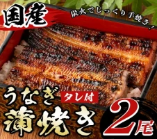 湧水上級煎茶「山麓茶」セット(80g×3本、計240g)やぶきた・おくみどり