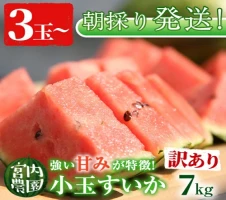 鹿児島県産A4等級以上！黒毛和牛ロースしゃぶしゃぶ用(920g)きめ細やか