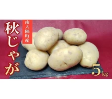 モリンガパウダー100g「本土最南端からのおくりもの」