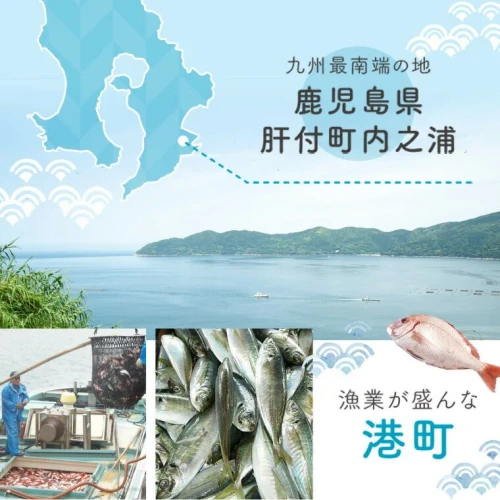 6回定期便】魚屋さんの選んだ新鮮お魚詰め合わせ(約4人分) 鹿児島 国産