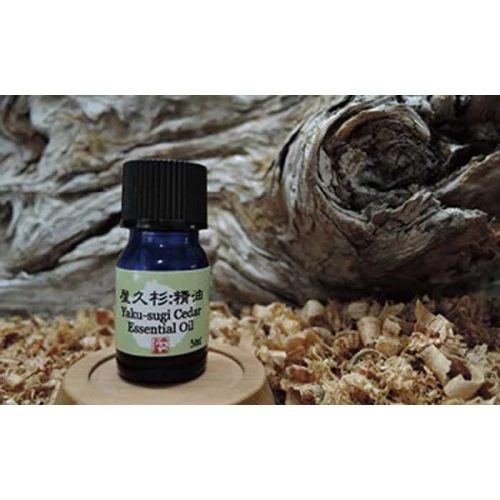 屋久杉精油(5ml)【月間10本限定】